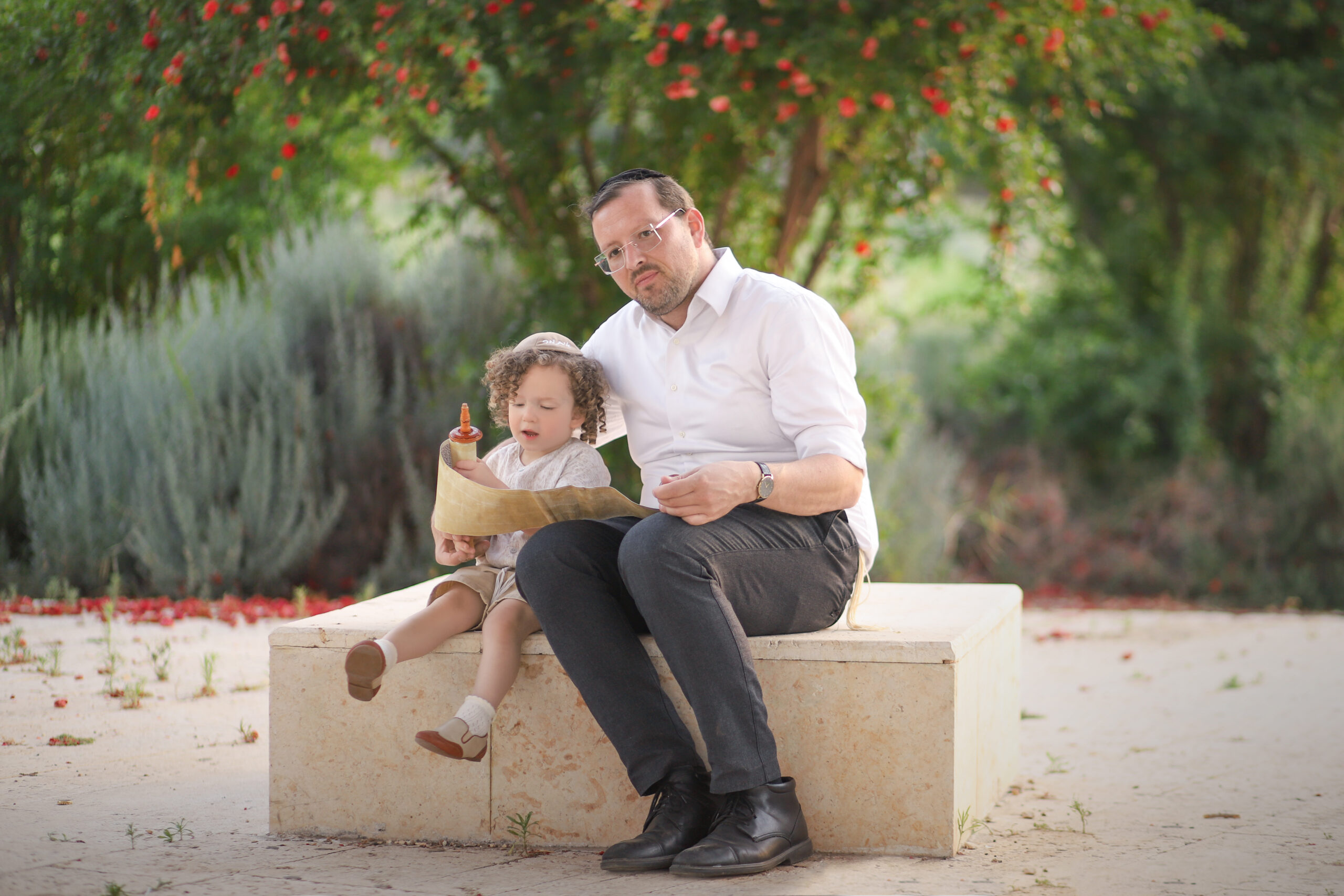 תמונה 5